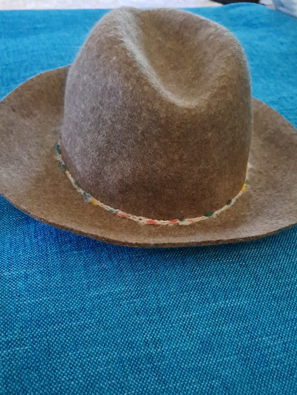 Zara Brown Felt Hat with Beige Sweatband